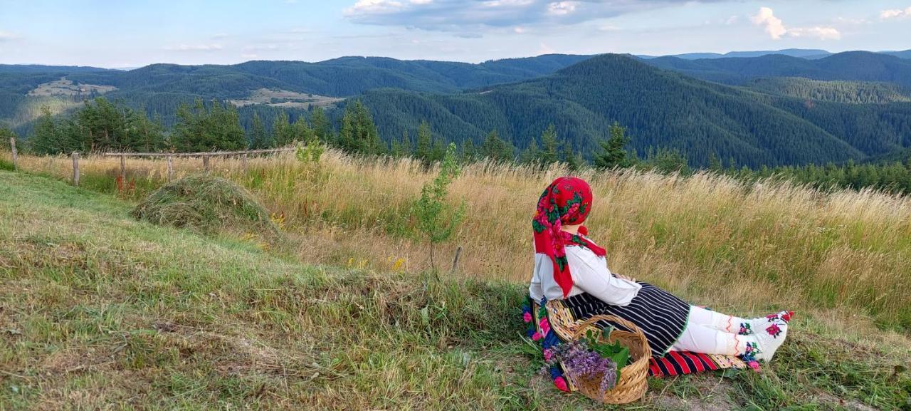 Вила Орцево Vila Ortsevo Kültér fotó